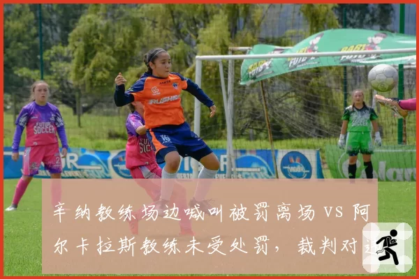 辛纳教练场边喊叫被罚离场 vs 阿尔卡拉斯教练未受处罚，裁判对违规行为的容忍度迥异